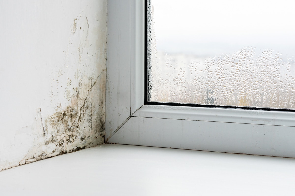 Lire la suite à propos de l’article Trop d’humidité dans la maison ? Une solution existe, pensez à la climatisation!